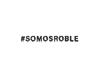 Casa Somos Sticker by RemaxRoble
