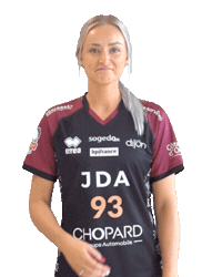 Handball Sticker by JDA Dijon Basket