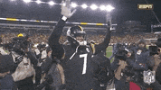 Pittsburgh Steelers Football GIF by NFL
