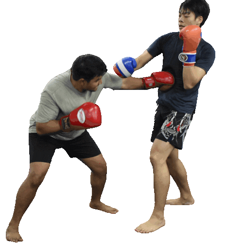 neweracubs fight mma boxing singapore Sticker