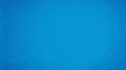 Happy Whats Up GIF by WestVirginiaU