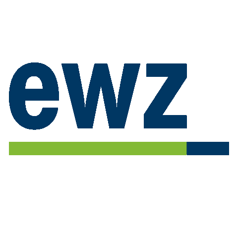 ewzenergie giphyupload ewz Sticker