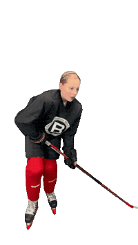 Hockey Sticker by ledoritulys.lt