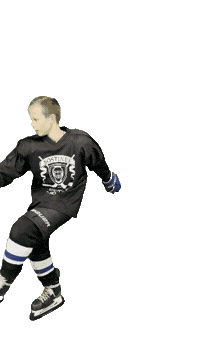 Hockey Sticker by ledoritulys.lt