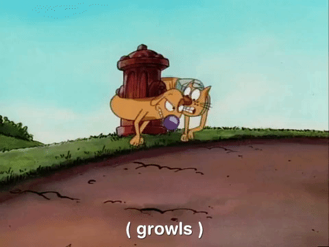 nicksplat GIF