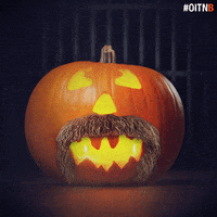 Orange Is The New Black GIF by NETFLIX