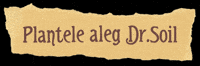 Vintage Label GIF by Dr.Soil