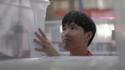 UrbanFoxAsia giphygifmaker GIF