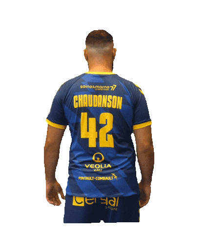 Proligue Pontault Sticker by Pontault-Combault Handball