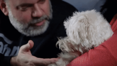 Scared Dog GIF by Brown & Crouppen