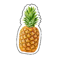 Summer Vintage Sticker by thankyounext.tyn