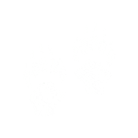 SpringHillCollege badgers shc spring hill hill yeah Sticker