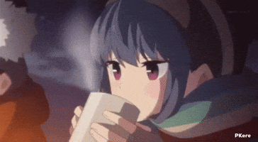 Night Camping GIF