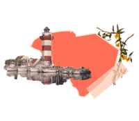 States Reaction Sticker by Crooked Media