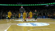 Liga Endesa Basketball GIF by ACB