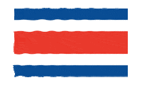 Central America Soccer Sticker by Claro Costa Rica