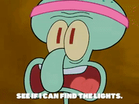 season 5 GIF by SpongeBob SquarePants