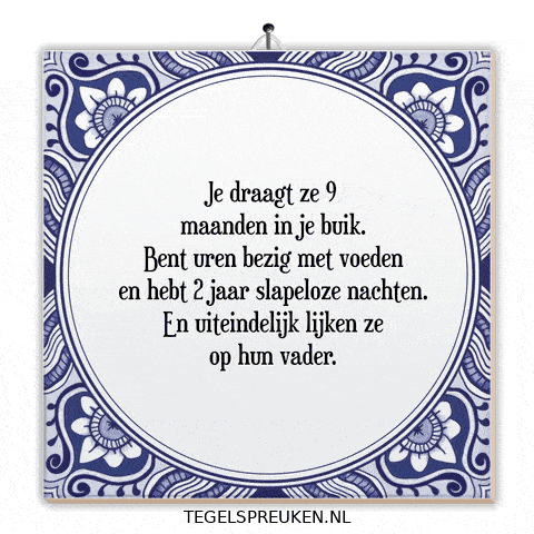 Humor Wijsheid GIF by Tegelspreuken.nl