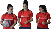 FERugby rugby fer bimba pgr Sticker