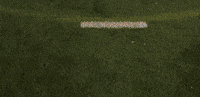 Lacrosse GIF by Lafayette Leopards