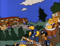 Season 3 Episode 23 GIF by The Simpsons