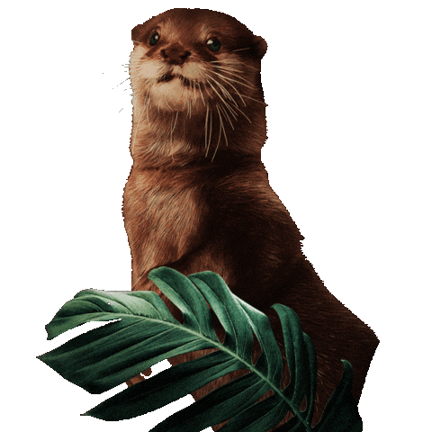 Safari Noir Sticker by Dallas Zoo