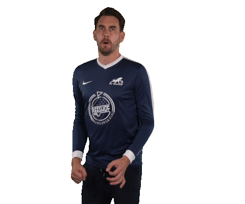 Rico Sticker by SV Reeshof