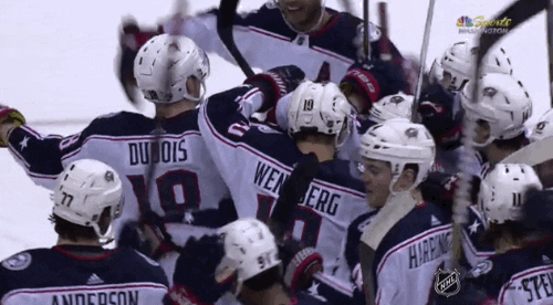 ice hockey hug GIF by NHL