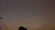 Dom Mclennon GIF by BROCKHAMPTON