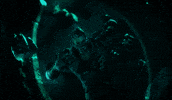 Playoffs Legends GIF by VALORANT Esports