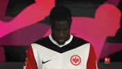 Look Up Eintracht Frankfurt GIF by Bundesliga