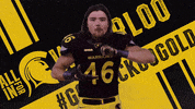 wloowarriors football uwaterloo waterloo warriors university of waterloo GIF