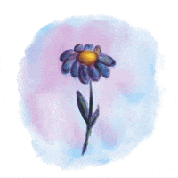 janerain  GIF