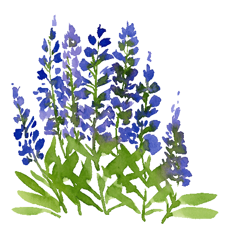 Flower Sticker by compo