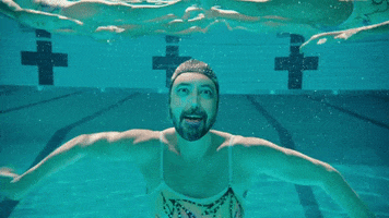 Pool Swimming GIF by Foo Fighters