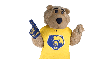Celebrate College Sports Sticker by WVU Tech Golden Bears