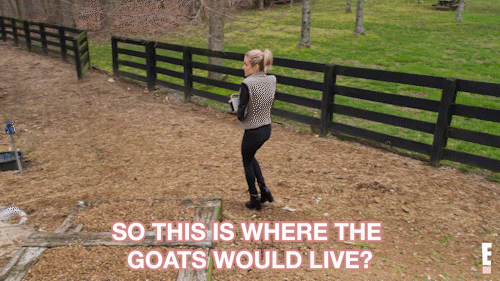very cavallari GIF by E!