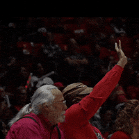 College Basketball Ncaa GIF by Utah Women's Basketball