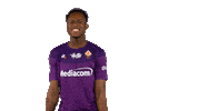 Come On Yes Sticker by ACF Fiorentina