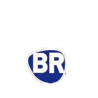 BRMOTORES  Sticker