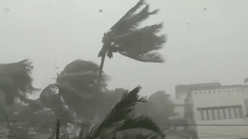 Cyclone Fani Batters Odisha State Capital Bhubaneswar
