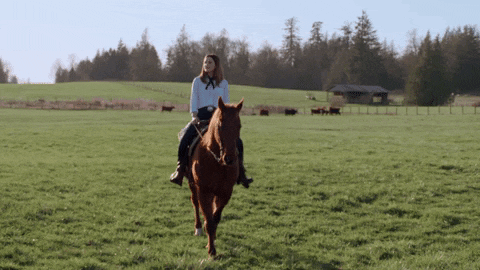 nathan parsons love GIF by Hallmark Channel