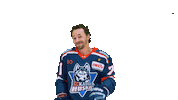 Huskie Sticker by EC Kassel Huskies