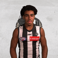 pies magpies GIF by CollingwoodFC