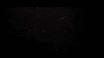 Dollar Bill Drugs GIF by The Lumineers