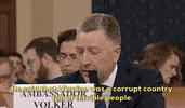 news impeachment impeachment inquiry kurt volker GIF