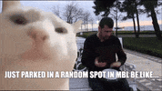 GIF by BasisBall