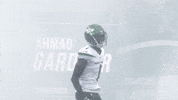 National Football League GIF by New York Jets