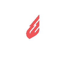 fcbotosani football romania superliga liga 1 Sticker