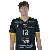 Mati Nowak Sticker by PGE GiEK Skra Bełchatów